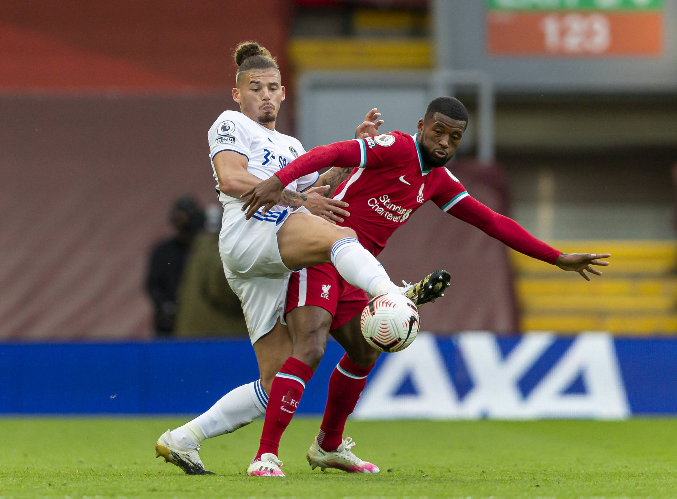 定了基础 定了基础